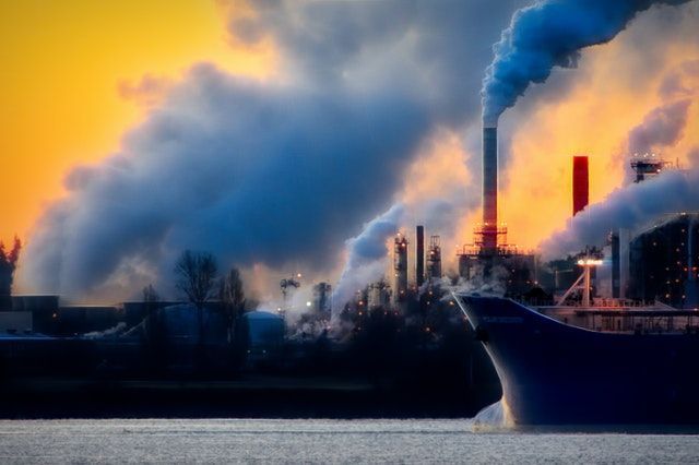 Carbon Sink Technologies
